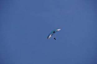 开云体育-全国青少年水上滑翔锦标赛天津盛大开幕，水上滑翔机价格